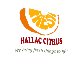 Hallac Citrus logo