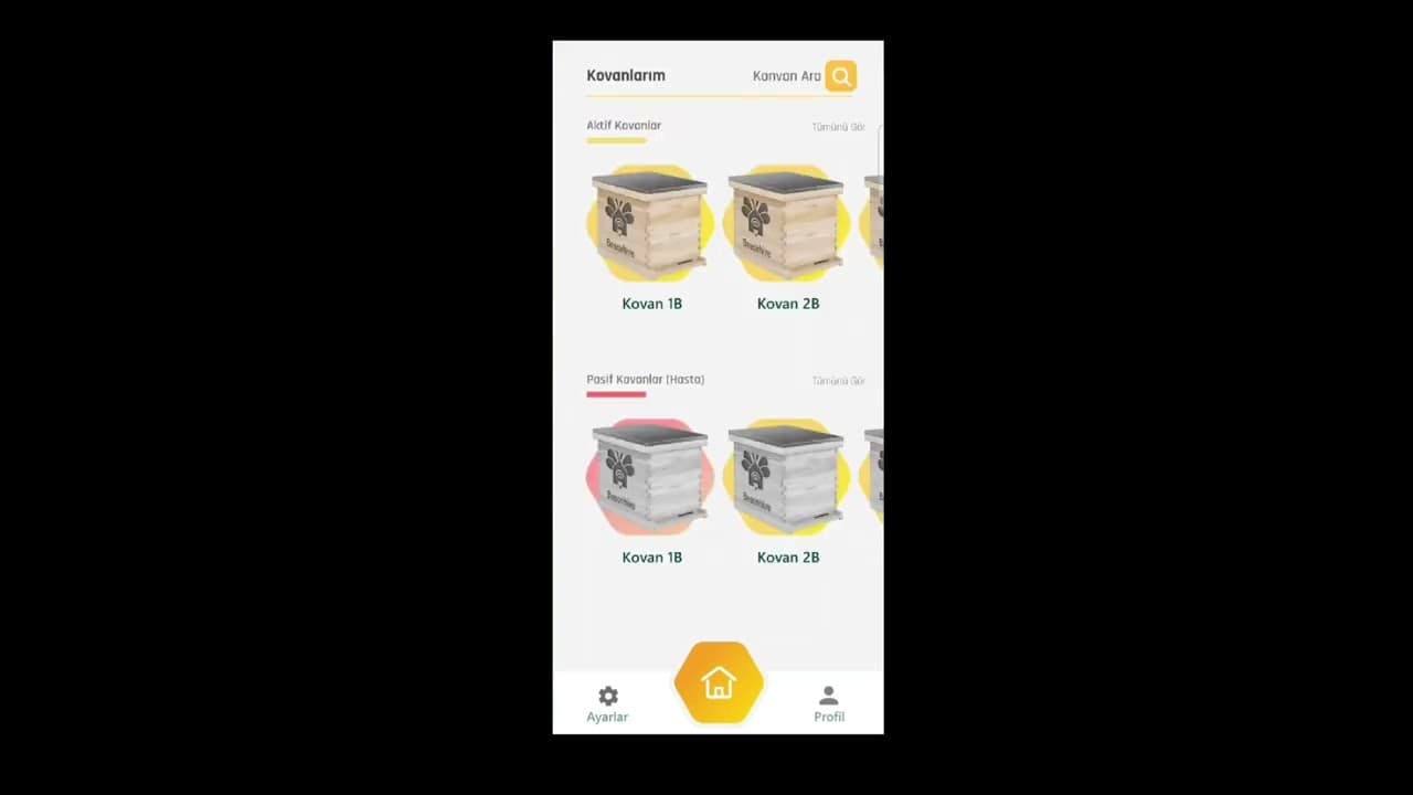 TeachOnHive - Yapay Zeka ile Bal Arısı Kovanlarını Sağlıklı Tutma